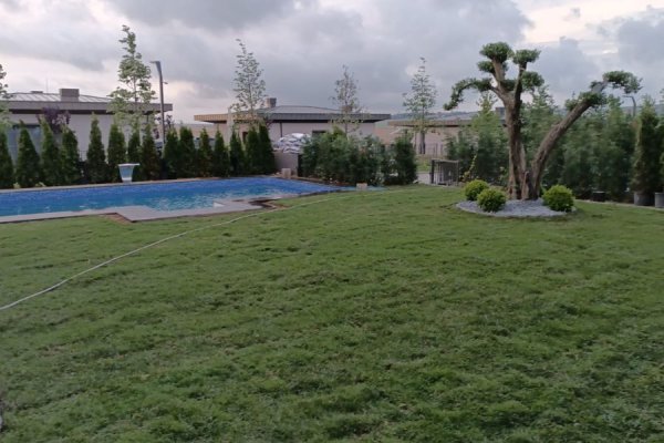 Ardıç Peyzaj
